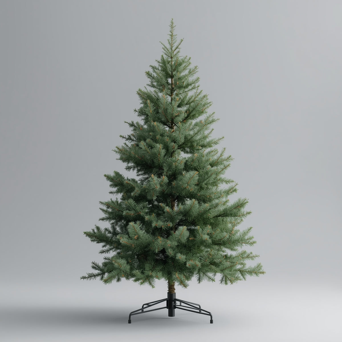 Basis-Baum 🌲