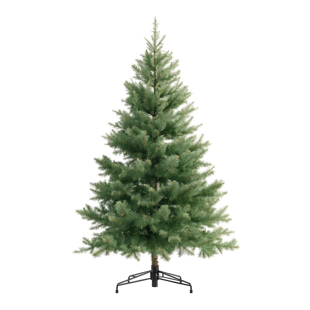 Basis-Baum 🌲